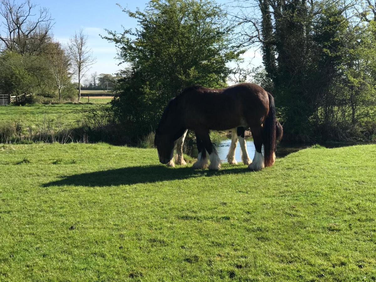 סירנססטר Tupenny Cottage, Old Mill Farm, Cotswold Water Park מראה חיצוני תמונה